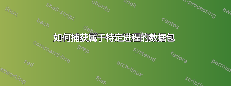 如何捕获属于特定进程的数据包