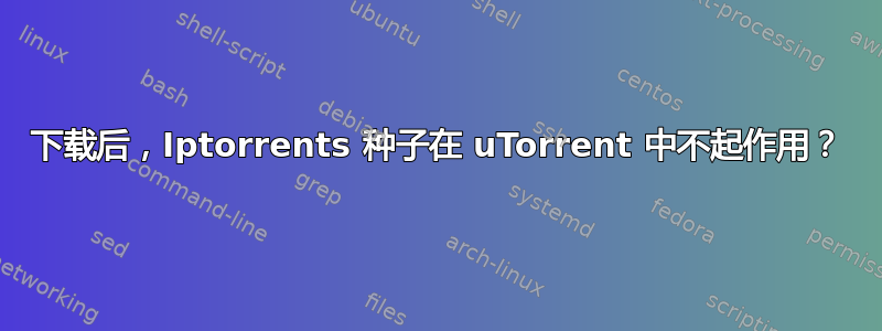 下载后，Iptorrents 种子在 uTorrent 中不起作用？