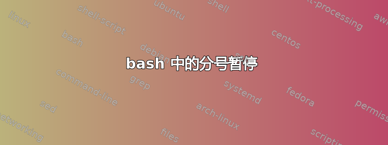 bash 中的分号暂停