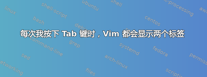 每次我按下 Tab 键时，Vim 都会显示两个标签