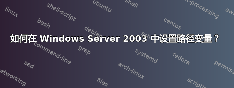 如何在 Windows Server 2003 中设置路径变量？