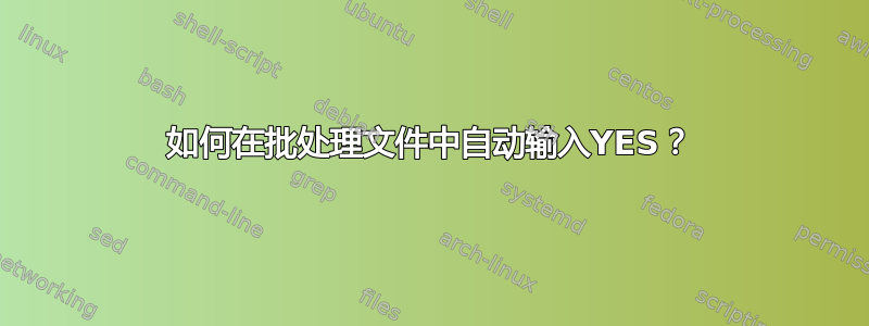 如何在批处理文件中自动输入YES？