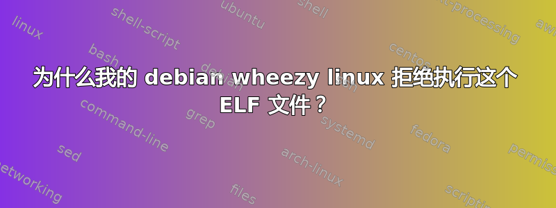 为什么我的 debian wheezy linux 拒绝执行这个 ELF 文件？