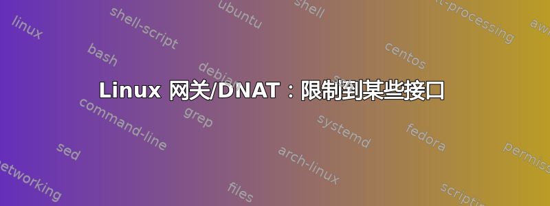 Linux 网关/DNAT：限制到某些接口