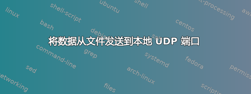 将数据从文件发送到本地 UDP 端口