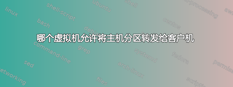 哪个虚拟机允许将主机分区转发给客户机