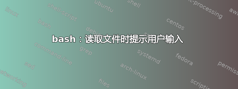 bash：读取文件时提示用户输入