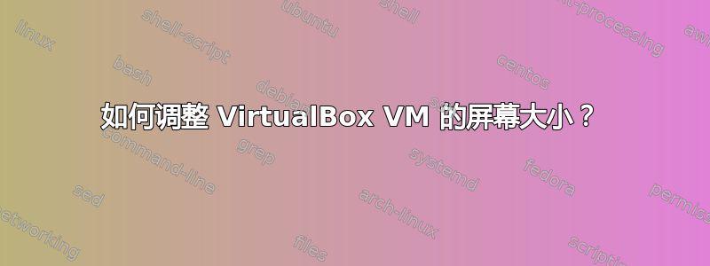 如何调整 VirtualBox VM 的屏幕大小？