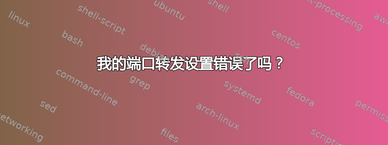 我的端口转发设置错误了吗？