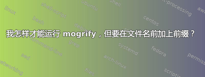 我怎样才能运行 mogrify，但要在文件名前加上前缀？