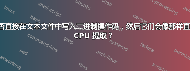 您能否直接在文本文件中写入二进制操作码，然后它们会像那样直接被 CPU 提取？