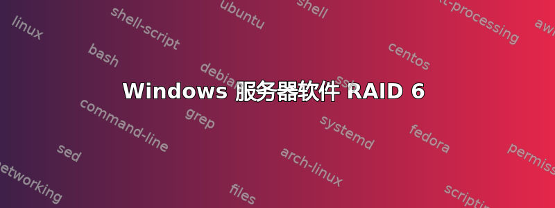 Windows 服务器软件 RAID 6