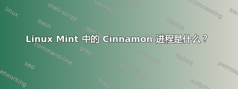 Linux Mint 中的 Cinnamon 进程是什么？