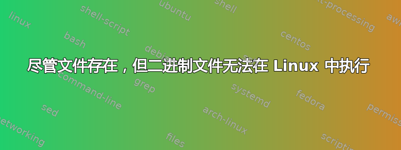 尽管文件存在，但二进制文件无法在 Linux 中执行