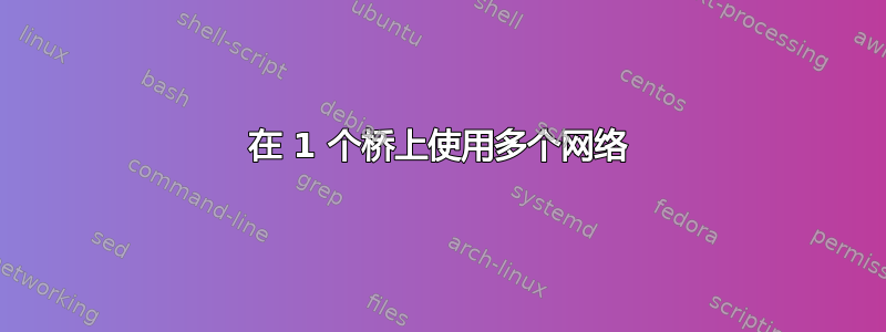 在 1 个桥上使用多个网络