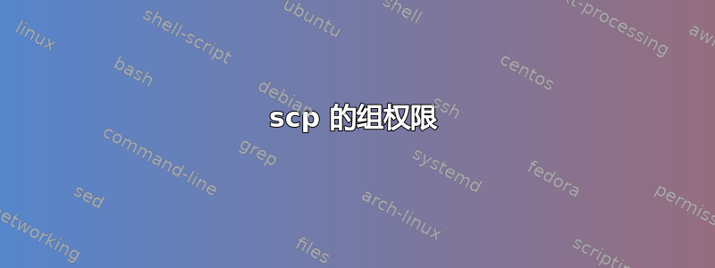 scp 的组权限