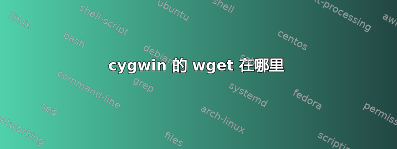 cygwin 的 wget 在哪里