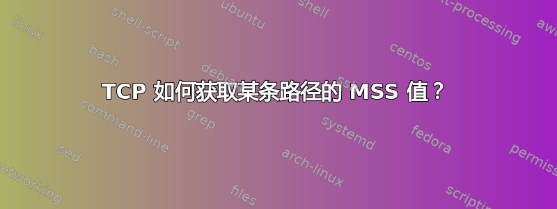 TCP 如何获取某条路径的 MSS 值？