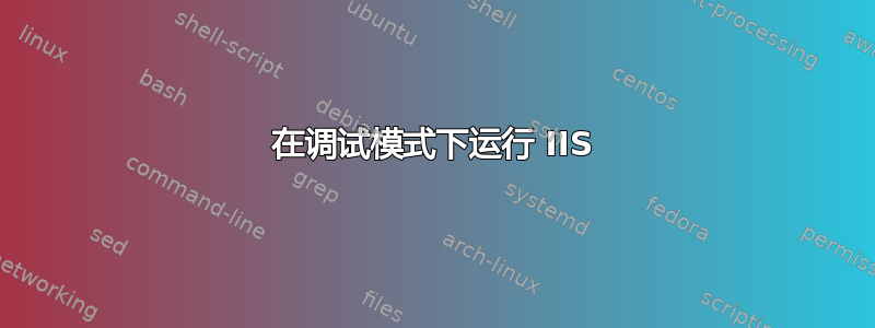 在调试模式下运行 IIS