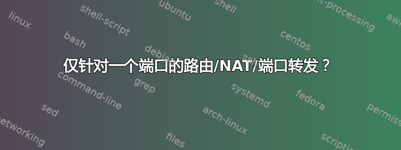 仅针对一个端口的路由/NAT/端口转发？