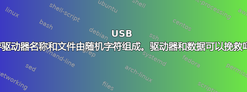 USB 闪存驱动器名称和文件由随机字符组成。驱动器和数据可以挽救吗？