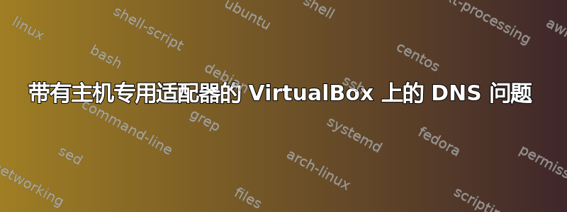 带有主机专用适配器的 VirtualBox 上的 DNS 问题