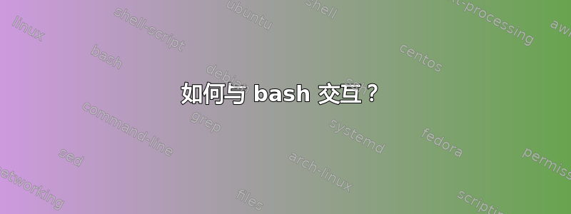 如何与 bash 交互？