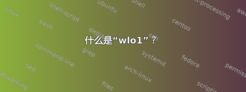 什么是“wlo1”？