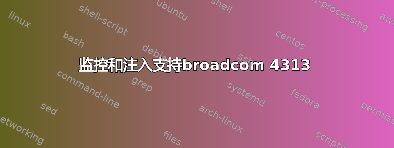 监控和注入支持broadcom 4313