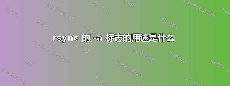 rsync 的 -a 标志的用途是什么