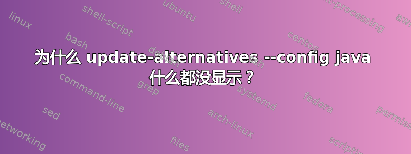 为什么 update-alternatives --config java 什么都没显示？