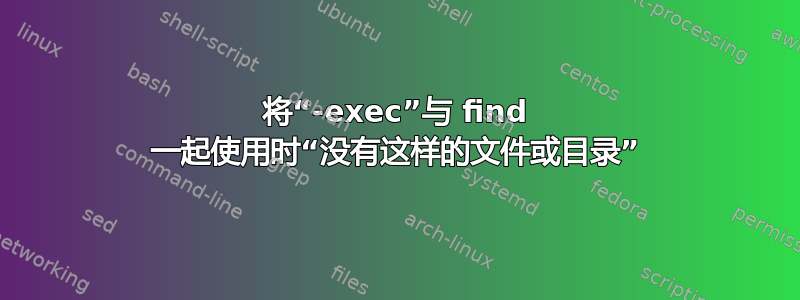 将“-exec”与 find 一起使用时“没有这样的文件或目录”