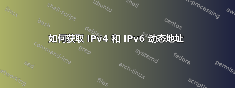 如何获取 IPv4 和 IPv6 动态地址