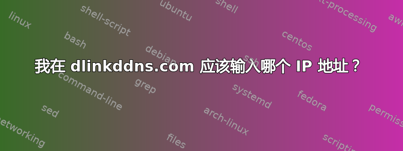 我在 dlinkddns.com 应该输入哪个 IP 地址？