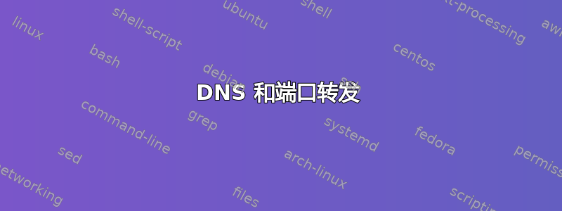 DNS 和端口转发