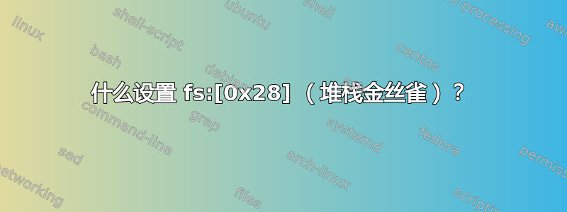 什么设置 fs:[0x28] （堆栈金丝雀）？