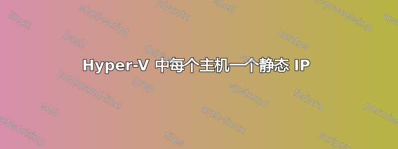 Hyper-V 中每个主机一个静态 IP