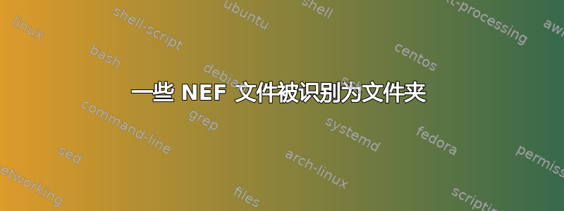 一些 NEF 文件被识别为文件夹