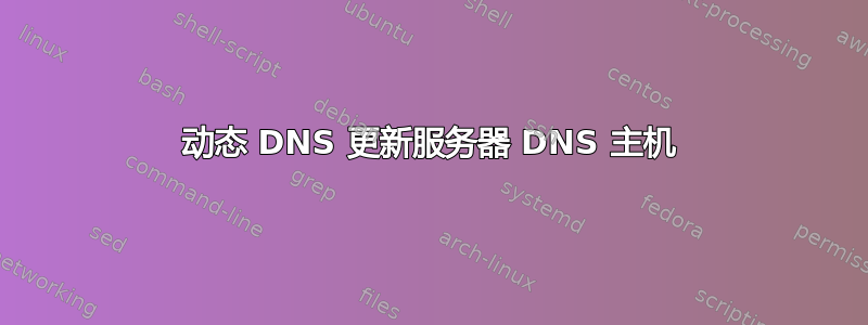 动态 DNS 更新服务器 DNS 主机