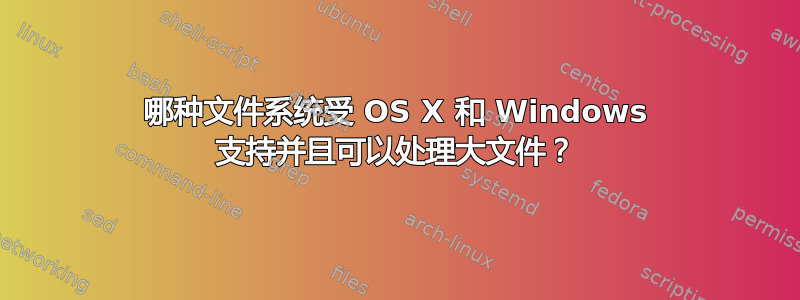 哪种文件系统受 OS X 和 Windows 支持并且可以处理大文件？