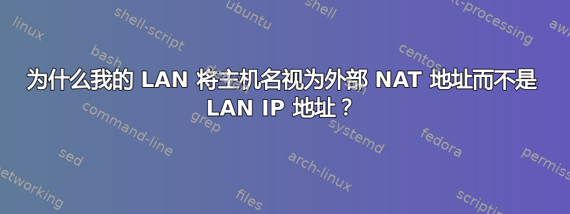 为什么我的 LAN 将主机名视为外部 NAT 地址而不是 LAN IP 地址？