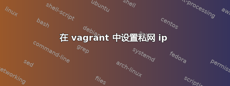 在 vagrant 中设置私网 ip