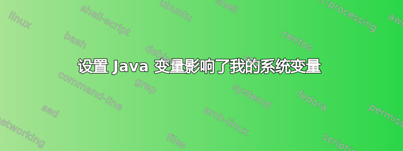 设置 Java 变量影响了我的系统变量