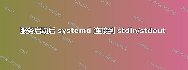 服务启动后 systemd 连接到 stdin/stdout