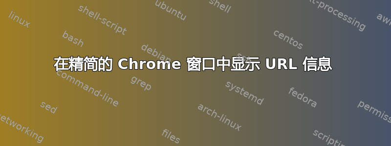 在精简的 Chrome 窗口中显示 URL 信息