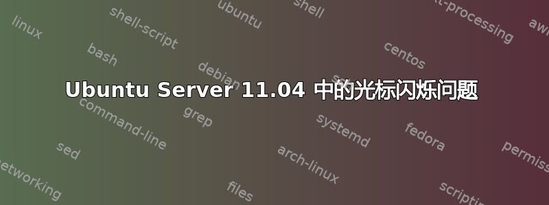 Ubuntu Server 11.04 中的光标闪烁问题