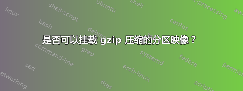 是否可以挂载 gzip 压缩的分区映像？