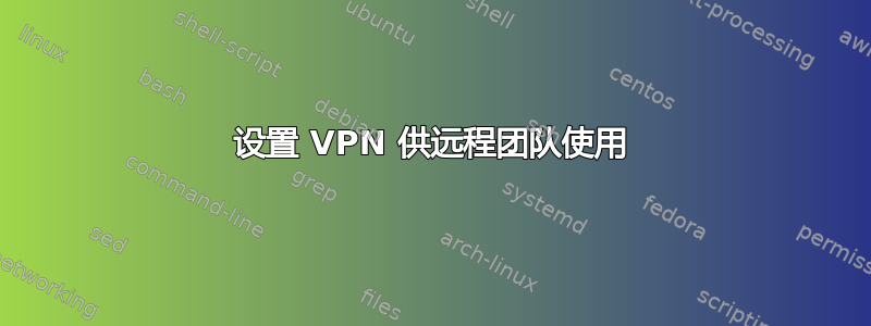 设置 VPN 供远程团队使用