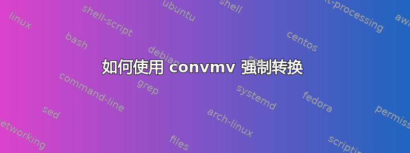 如何使用 convmv 强制转换