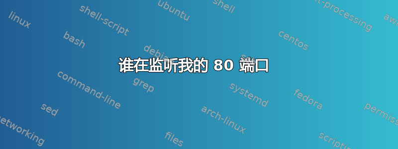 谁在监听我的 80 端口 